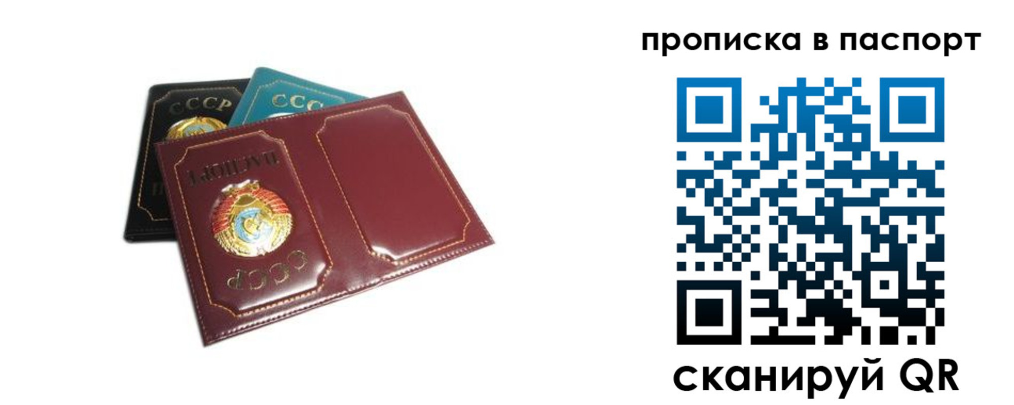 регистрация в Дорогобуже